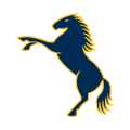 Brumbies