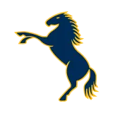 Brumbies