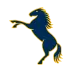 Brumbies