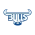 Logo Bulls