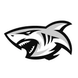 Sharks