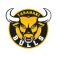 Taranaki Bulls