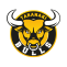 Taranaki Bulls