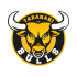 Taranaki Bulls