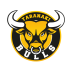 Taranaki Bulls