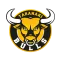 Taranaki Bulls