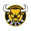 Taranaki Bulls