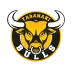 Taranaki Bulls