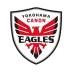 Yokohama Canon Eagles