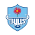 Blue Bulls