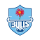 Blue Bulls