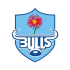 Blue Bulls