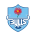 Blue Bulls
