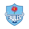 Blue Bulls