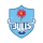 Blue Bulls