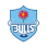 Blue Bulls