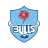 Blue Bulls