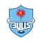 Blue Bulls