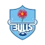 Blue Bulls