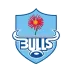 Blue Bulls