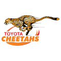 Cheetahs