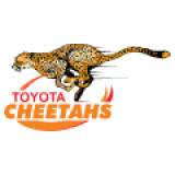 Cheetahs