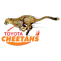 Cheetahs
