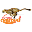 Cheetahs
