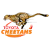 Cheetahs