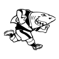 Sharks XV