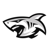 Sharks XV