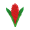 Samoa