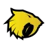 Houston Sabercats