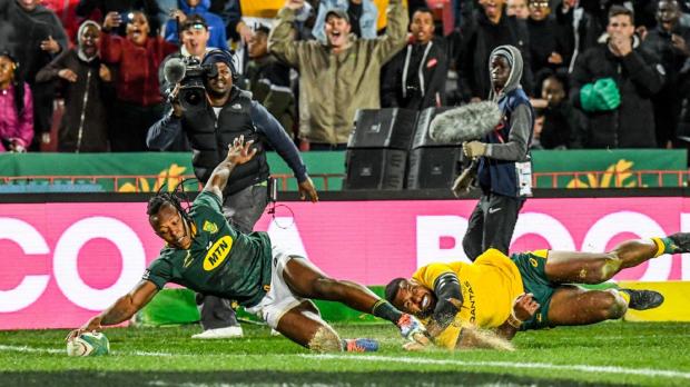 Springbok depth