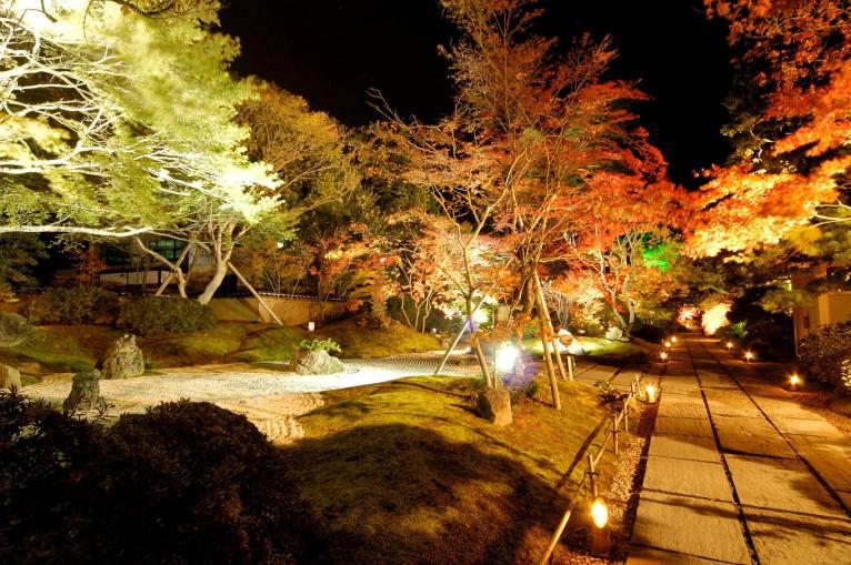 Matsushima Autumn Leaves light up, South Tohoku 