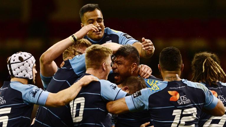 Regional rugby appointment