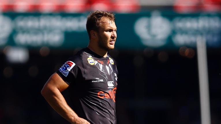 Esterhuizen visa Harlequins