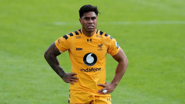 Fekitoa Wasps