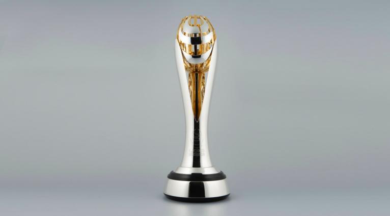 Lions Springboks trophy