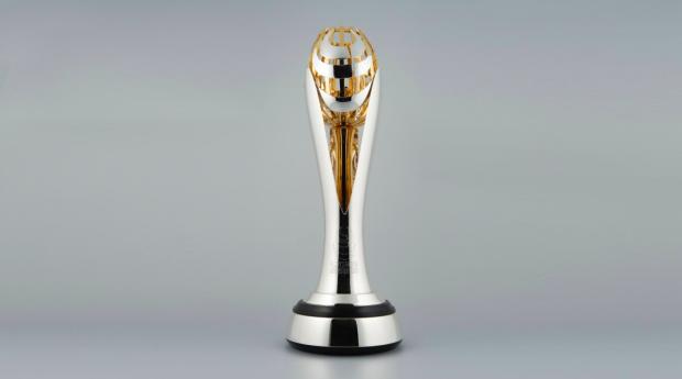 Lions Springboks trophy