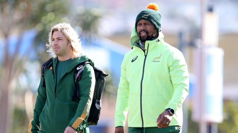 Stick Springboks critics Championship