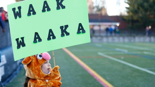 Waaka Free Jacks MLR support