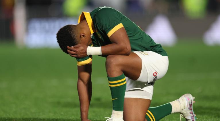 Bok fans