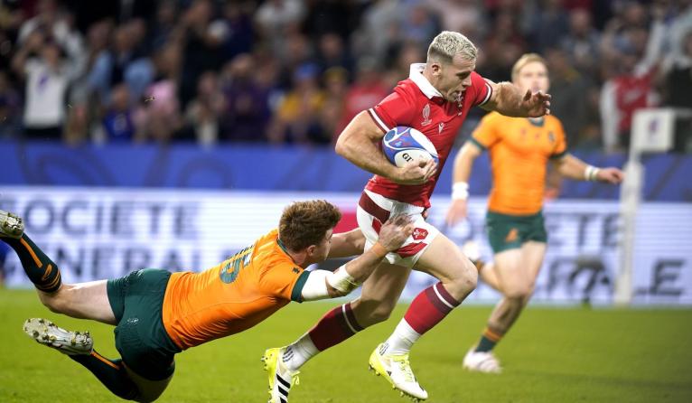 Wayne Barnes World Cup