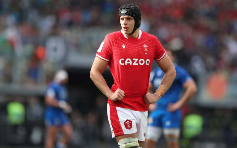 Dafydd Jenkins