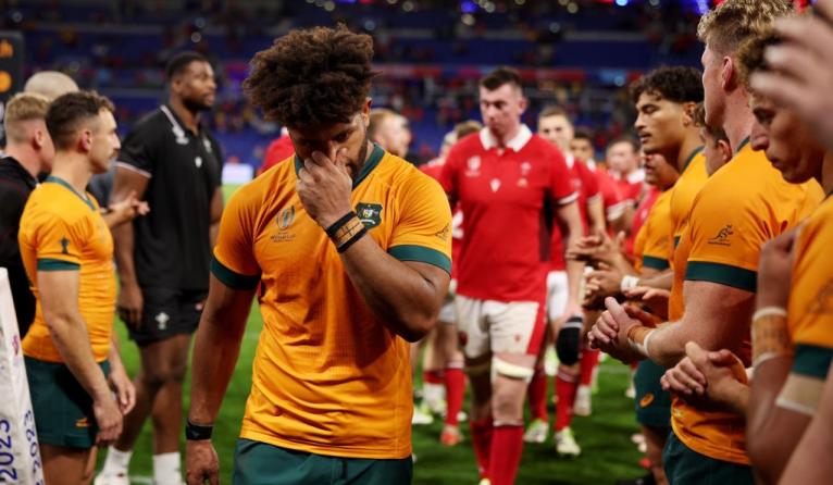 Wayne Barnes World Cup