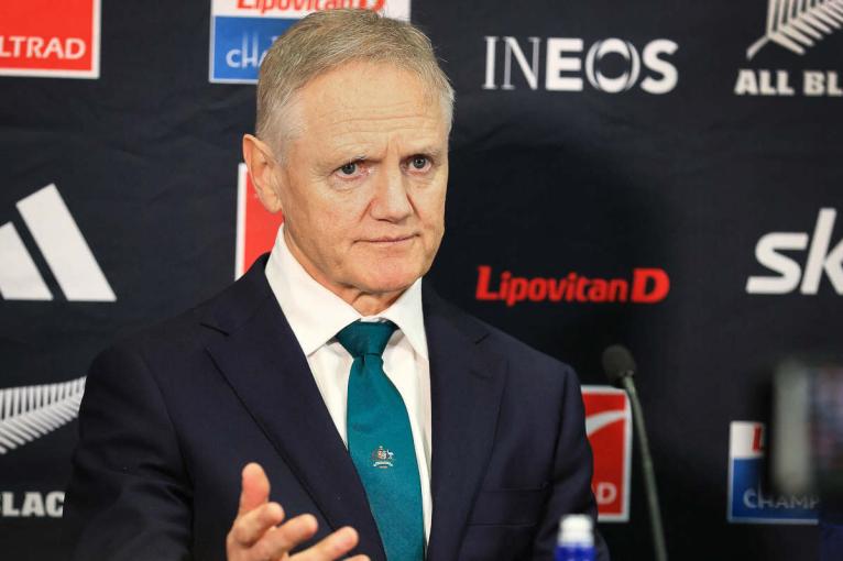 Joe Schmidt