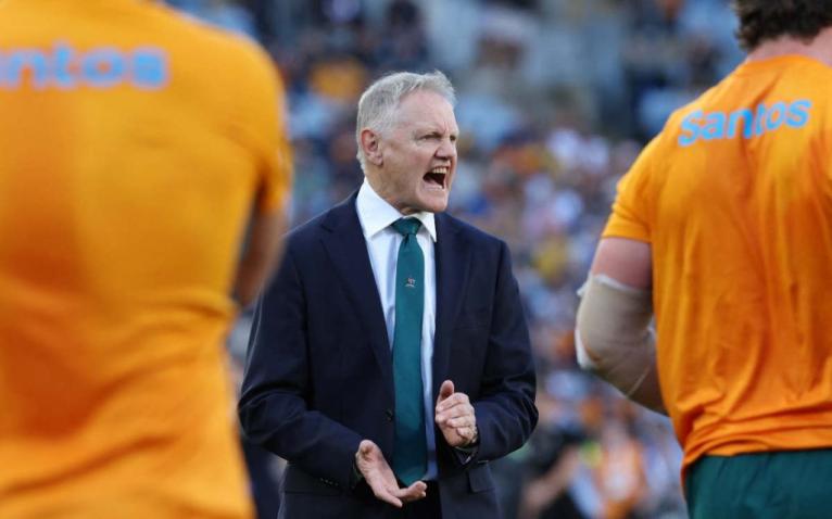 Joe Schmidt