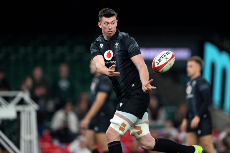 Joe Schmidt Warren Gatland