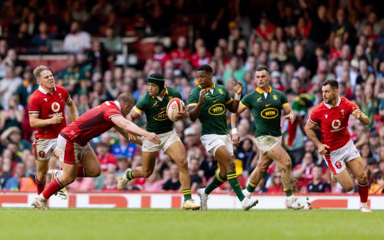 Wales v South Africa